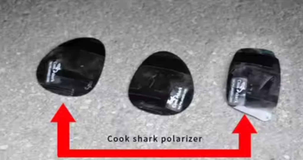 Cook shark Polarize Güneş Gözlüğü